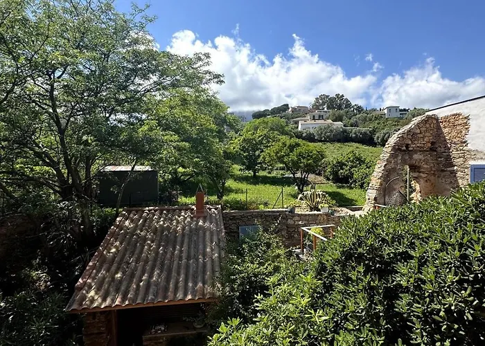 Appartement Charmant appartement Bastia (Corsica)